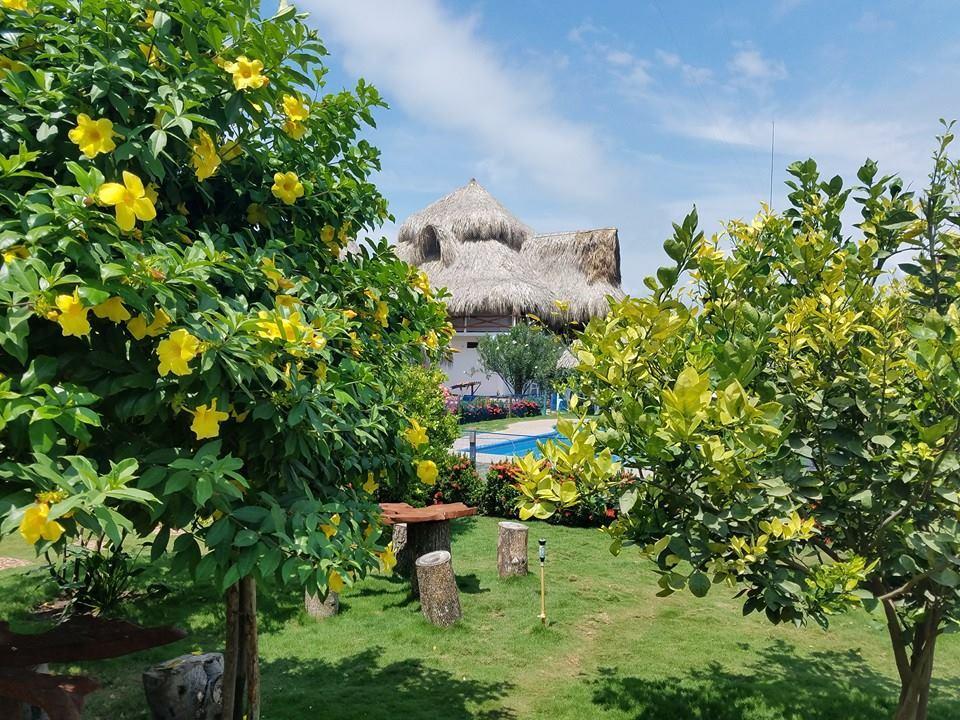 Palomino Breeze Hostal Exterior foto